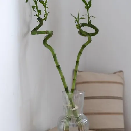 Mitato View Serifos Platis Gialos