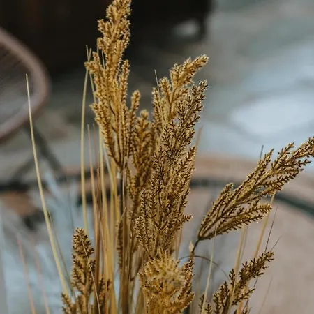 Mitato View Serifos Platis Gialos