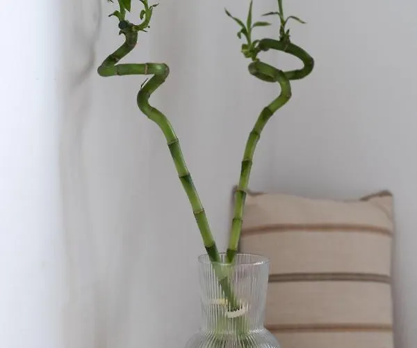 Mitato View Serifos Platis Gialos