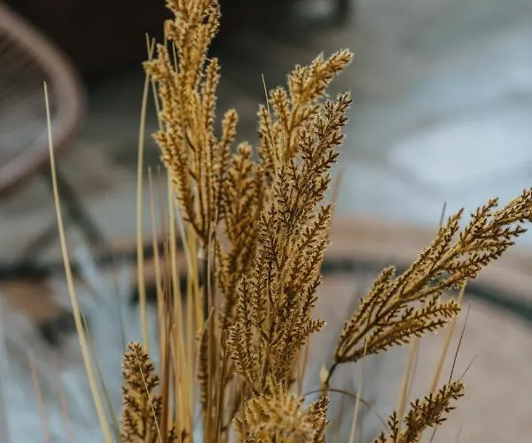 Mitato View Serifos Platis Gialos