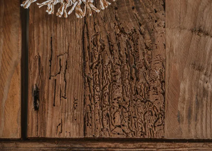 Mitato View Serifos Platis Gialos * Kentarchos